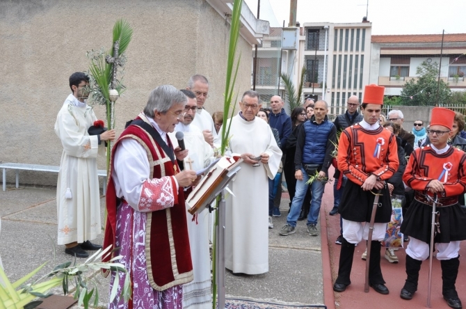 DOMENICA DELLE PALME 2025 - Parrocchia San Gregorio Magno